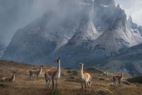 开云体育官方入口-国家队技战术更新缓慢，国家队改版