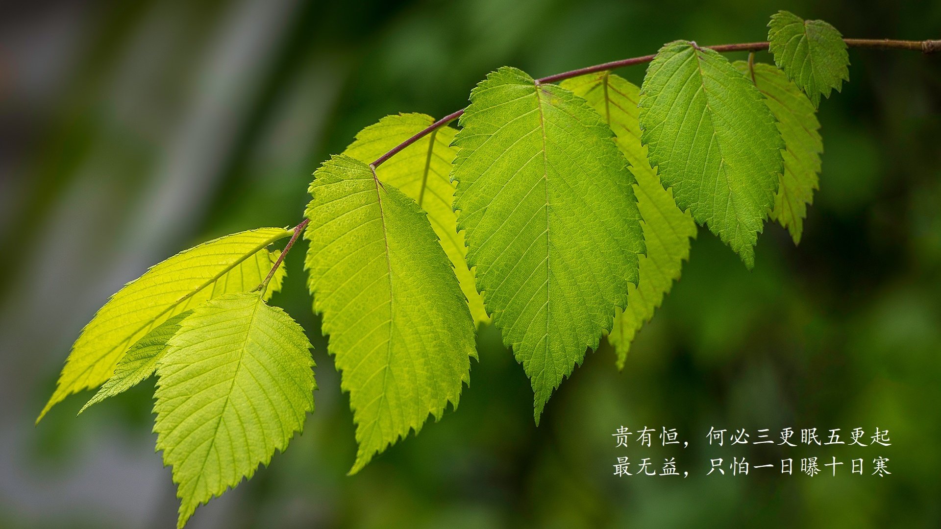 中超边后卫反向跑动与补位效率数据整合，中超 左后卫