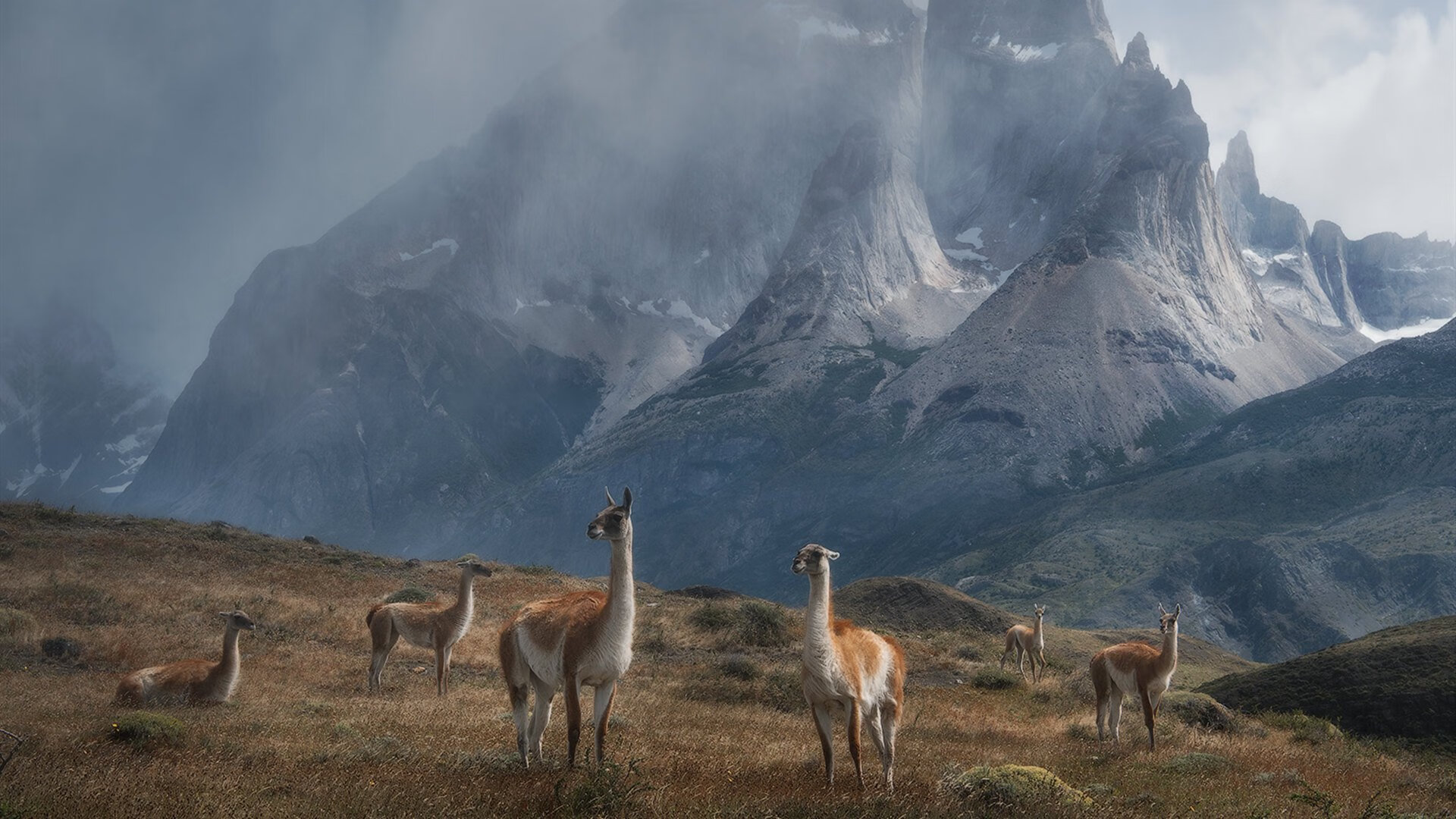 国家队技战术更新缓慢,国家队改版