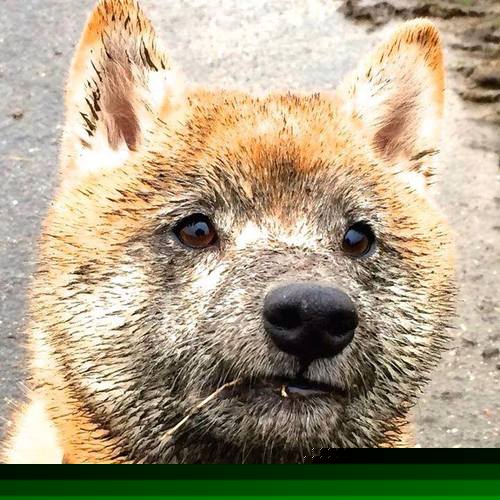 转换节奏中球员如何快速识别对位防线，球员对位数据