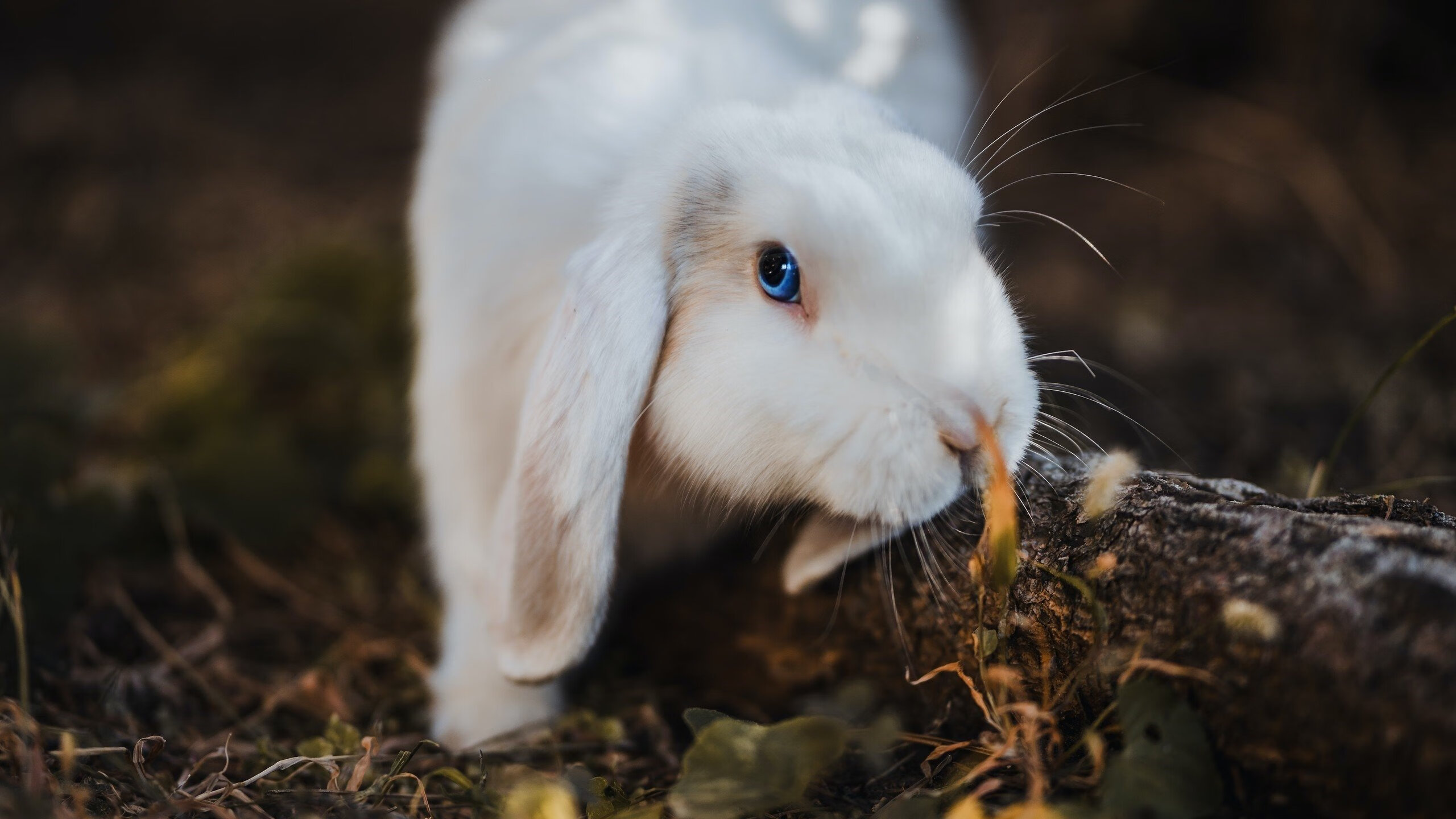 青少年球员身体指标评估标准不统一，青少年体能评估表