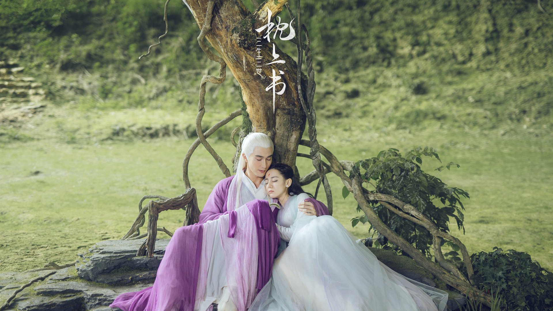 中国足球职业俱乐部数字化转型升级计划,中国足球去职业化