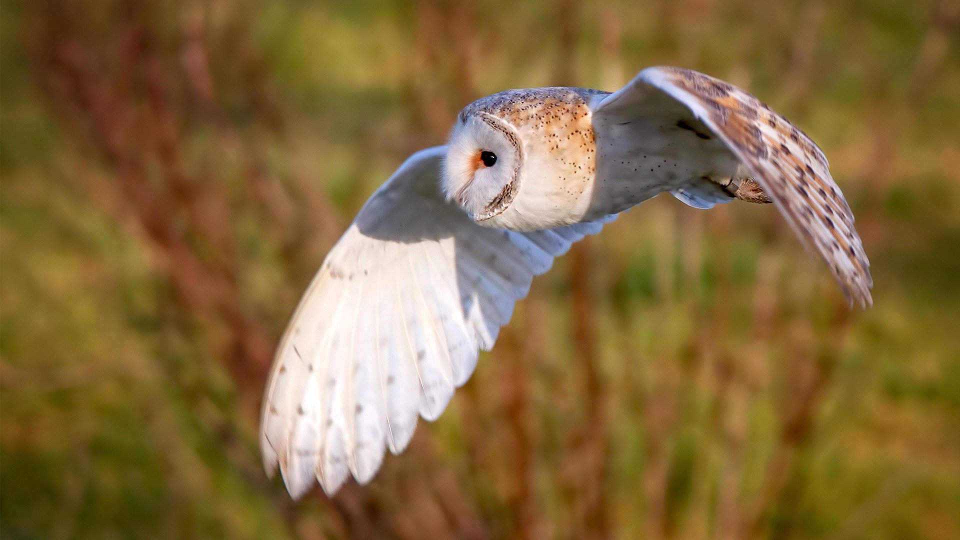 中甲联赛加强比赛节奏控制训练优化攻守转换