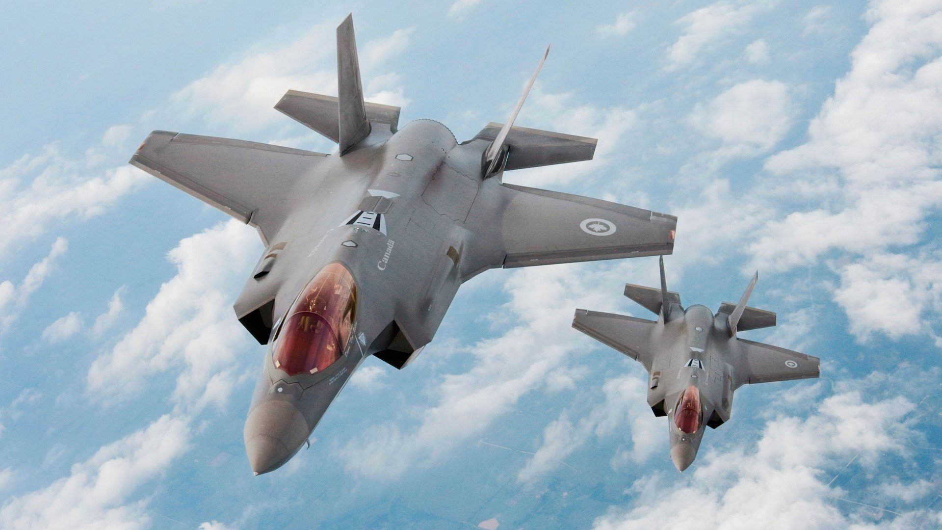 奥地利自由泳短程速度惊人，奥地利花样游泳