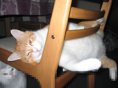 女子足球走进社区组织亲子活动提升群众认同，足球亲子活动美篇